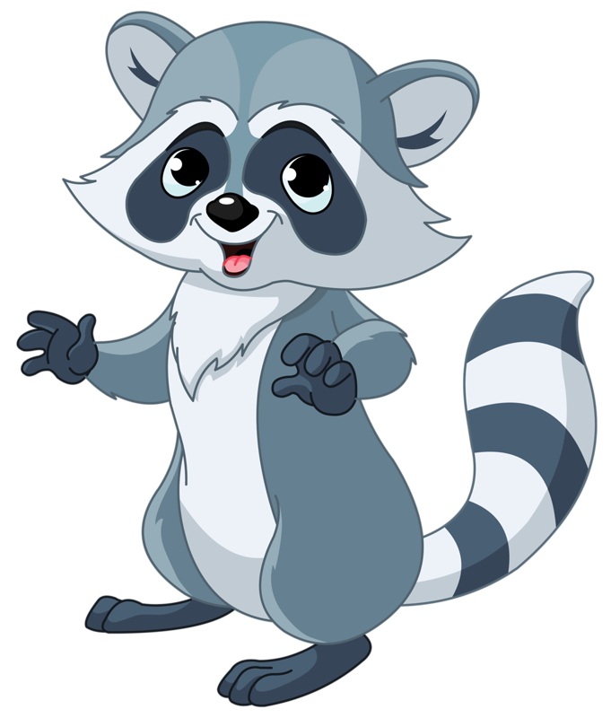 Raccoon | Humane Wildlife Raccoon Removal New Jersey - +1-877-468-5748
