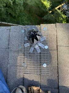 Chimney Cap Installation | Humane Wildlife Removal New Jersey - +1-877-468-5748
